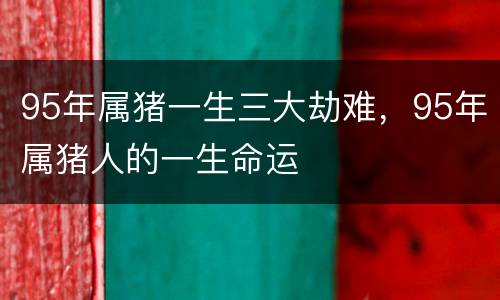 95年属猪一生三大劫难，95年属猪人的一生命运