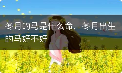 冬月的马是什么命，冬月出生的马好不好