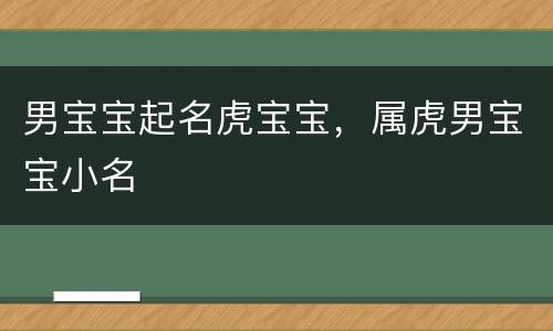 男宝宝起名虎宝宝，属虎男宝宝小名