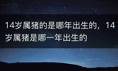 14岁属猪的是哪年出生的，14岁属猪是哪一年出生的