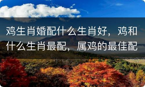 鸡生肖婚配什么生肖好，鸡和什么生肖最配，属鸡的最佳配偶，属鸡人的性格
