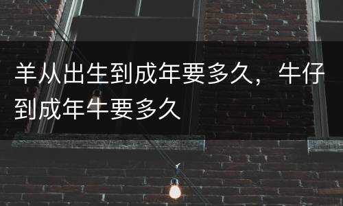 羊从出生到成年要多久，牛仔到成年牛要多久