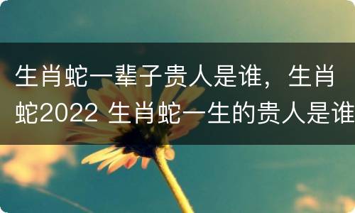 生肖蛇一辈子贵人是谁，生肖蛇2022 生肖蛇一生的贵人是谁