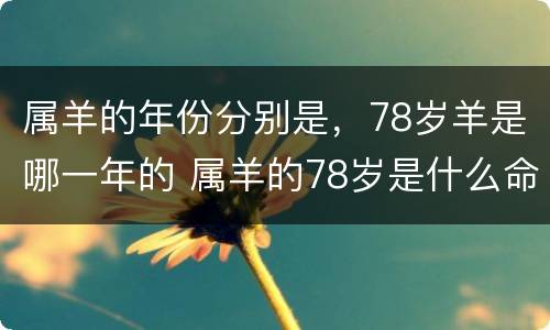 属羊的年份分别是，78岁羊是哪一年的 属羊的78岁是什么命