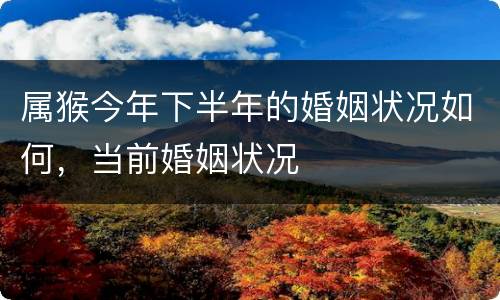 属猴今年下半年的婚姻状况如何，当前婚姻状况
