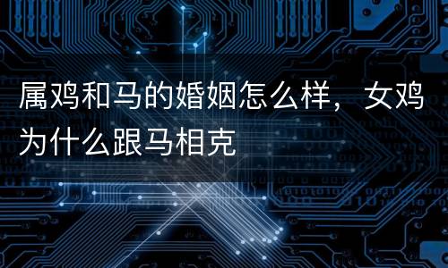 属鸡和马的婚姻怎么样，女鸡为什么跟马相克