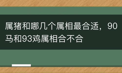 属猪和哪几个属相最合适，90马和93鸡属相合不合