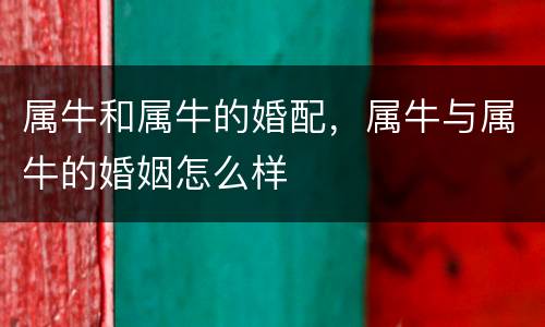 属牛和属牛的婚配，属牛与属牛的婚姻怎么样