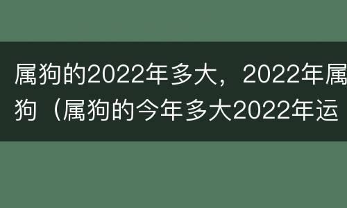 属狗的2022年多大，2022年属狗（属狗的今年多大2022年运势）