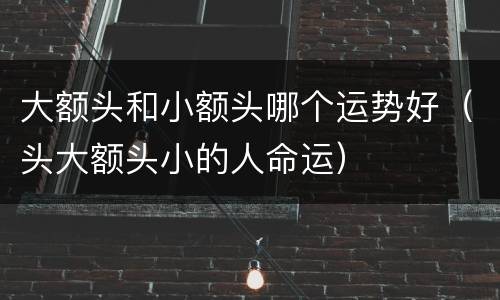 大额头和小额头哪个运势好（头大额头小的人命运）