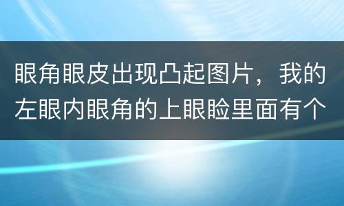 眼角眼皮出现凸起图片，我的左眼内眼角的上眼睑里面有个鼓起来的一个像小豆