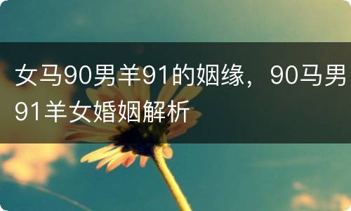 女马90男羊91的姻缘，90马男91羊女婚姻解析