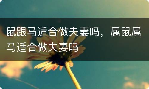 鼠跟马适合做夫妻吗，属鼠属马适合做夫妻吗