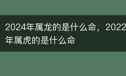 2024年属龙的是什么命，2022年属虎的是什么命
