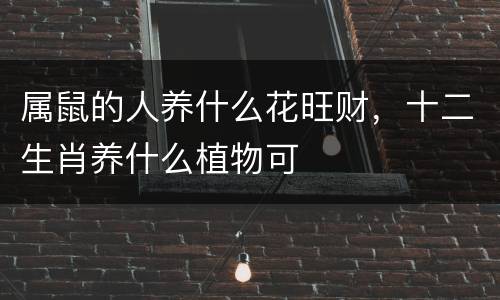属鼠的人养什么花旺财，十二生肖养什么植物可