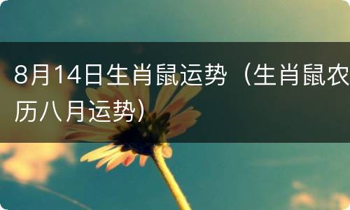 8月14日生肖鼠运势（生肖鼠农历八月运势）
