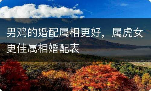 男鸡的婚配属相更好，属虎女更佳属相婚配表