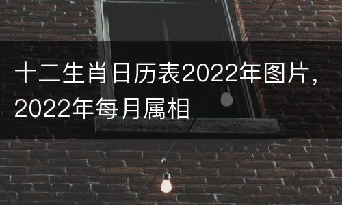 十二生肖日历表2022年图片，2022年每月属相