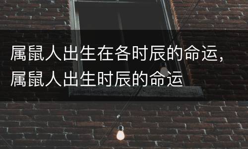 属鼠人出生在各时辰的命运，属鼠人出生时辰的命运