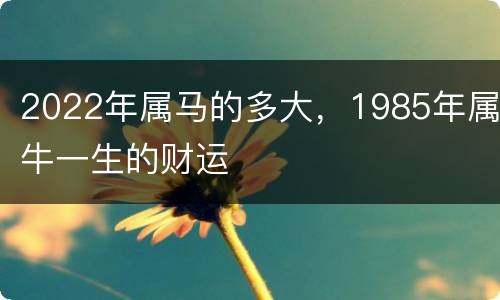 2022年属马的多大，1985年属牛一生的财运