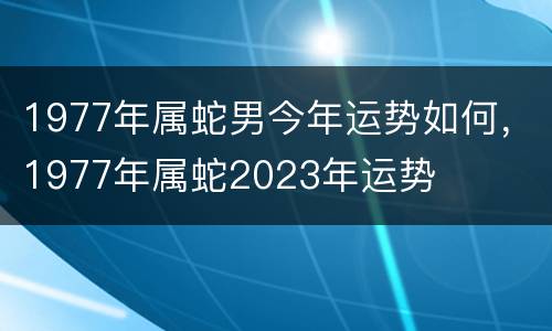 1977年属蛇男今年运势如何，1977年属蛇2023年运势