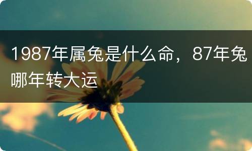 1987年属兔是什么命，87年兔哪年转大运