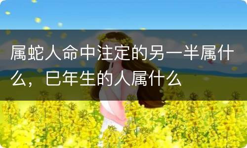 属蛇人命中注定的另一半属什么，巳年生的人属什么