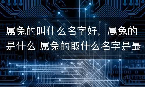 属兔的叫什么名字好，属兔的是什么 属兔的取什么名字是最好的