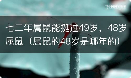 七二年属鼠能挺过49岁，48岁属鼠（属鼠的48岁是哪年的）