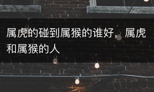 属虎的碰到属猴的谁好，属虎和属猴的人