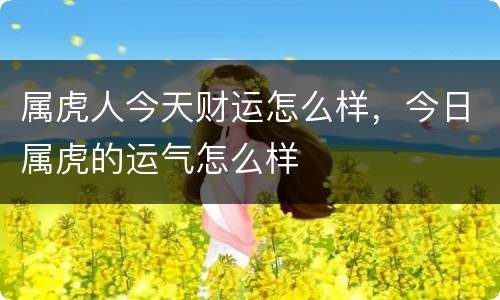 属虎人今天财运怎么样，今日属虎的运气怎么样