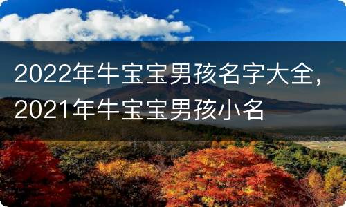 2022年牛宝宝男孩名字大全，2021年牛宝宝男孩小名