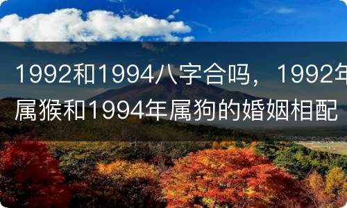 1992和1994八字合吗，1992年属猴和1994年属狗的婚姻相配吗