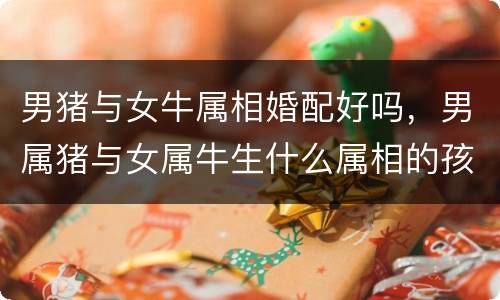 男猪与女牛属相婚配好吗，男属猪与女属牛生什么属相的孩子好