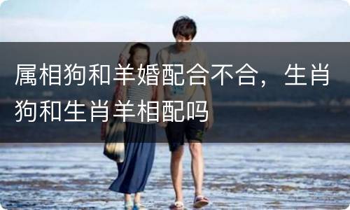 属相狗和羊婚配合不合，生肖狗和生肖羊相配吗