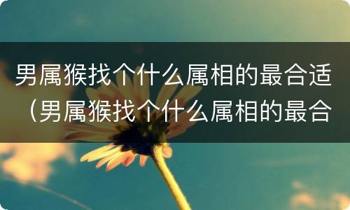 男属猴找个什么属相的最合适（男属猴找个什么属相的最合适婚姻）