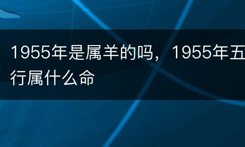 1955年是属羊的吗，1955年五行属什么命