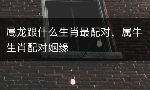 属龙跟什么生肖最配对，属牛生肖配对姻缘