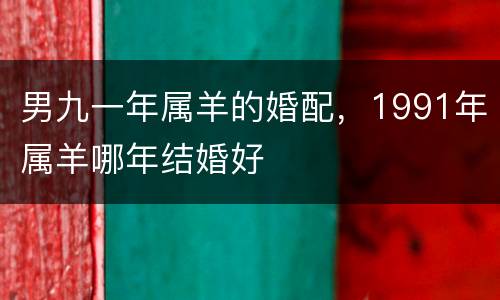 男九一年属羊的婚配，1991年属羊哪年结婚好