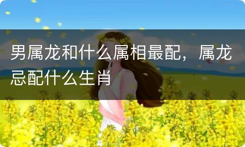 男属龙和什么属相最配，属龙忌配什么生肖