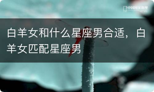白羊女和什么星座男合适，白羊女匹配星座男