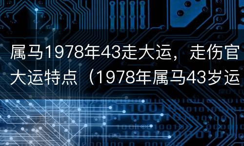 属马1978年43走大运，走伤官大运特点（1978年属马43岁运气）