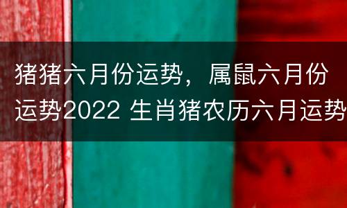 猪猪六月份运势，属鼠六月份运势2022 生肖猪农历六月运势