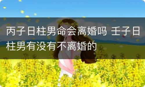 丙子日柱男命会离婚吗 壬子日柱男有没有不离婚的