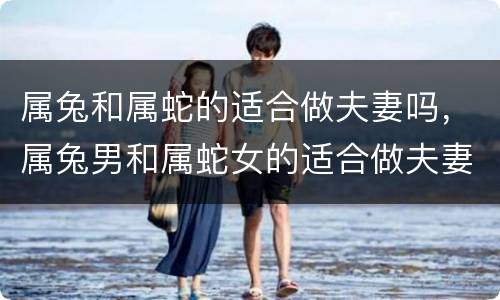 属兔和属蛇的适合做夫妻吗，属兔男和属蛇女的适合做夫妻吗