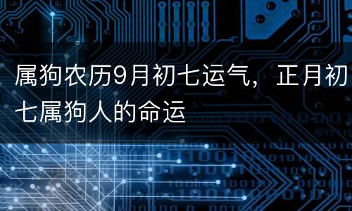属狗农历9月初七运气，正月初七属狗人的命运