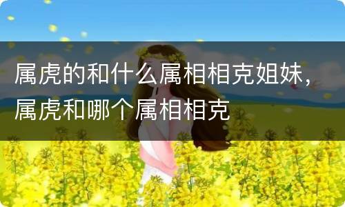 属虎的和什么属相相克姐妹，属虎和哪个属相相克