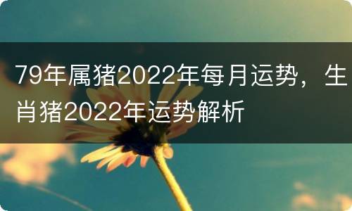79年属猪2022年每月运势，生肖猪2022年运势解析