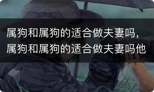 属狗和属狗的适合做夫妻吗，属狗和属狗的适合做夫妻吗他们责任感很强