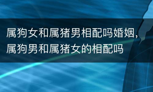 属狗女和属猪男相配吗婚姻，属狗男和属猪女的相配吗